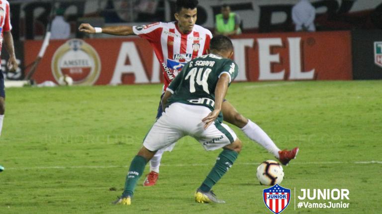 Didier Cano Didier Cano